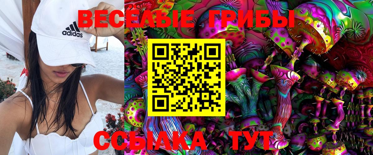 Псилоцибиновые грибы Psilocybe Нижнеудинск