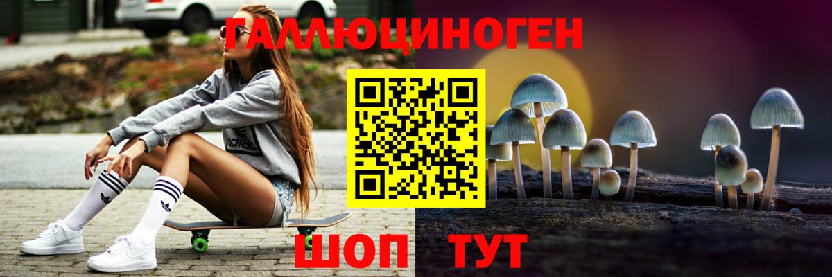 сколько стоит  Галлюциногенные грибы Cubensis  Вход с VPN  Нижнеудинск 